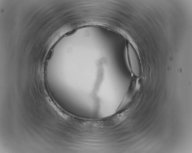 X0000081310898200701251740