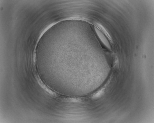 X0000081310900200701251740