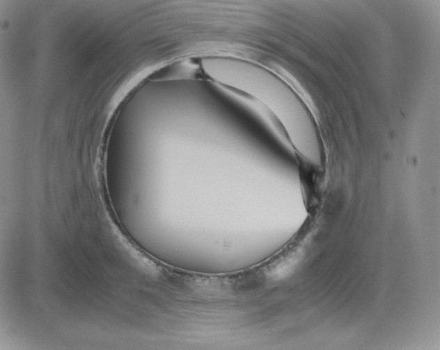 X0000081310901200701251740