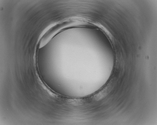 X0000081310902200701251740