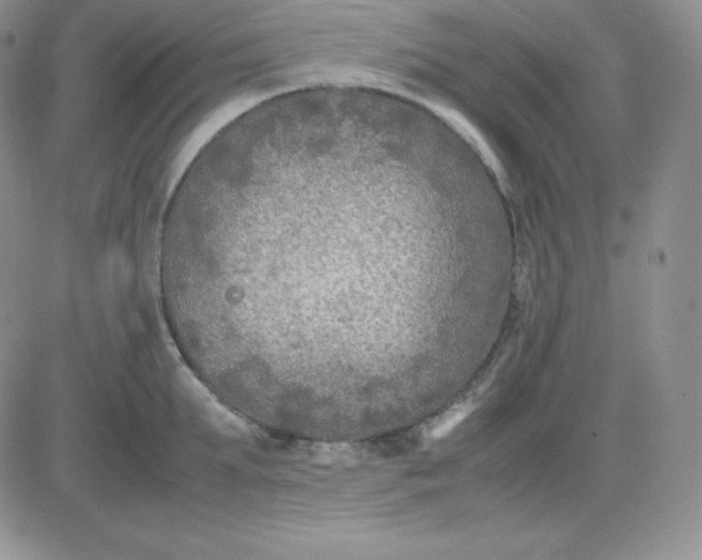 X0000081310903200701251740