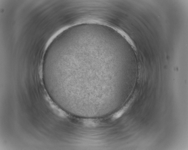 X0000081310904200701251740