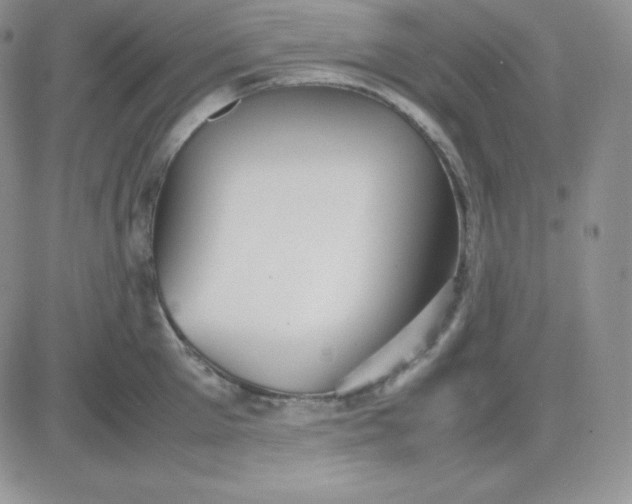 X0000081310905200701251740