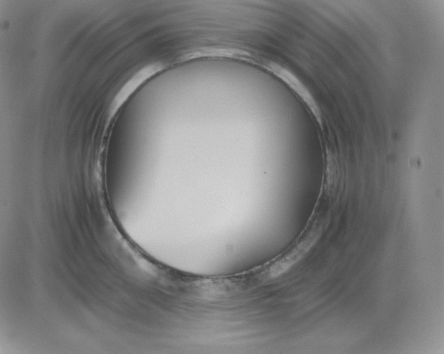 X0000081310906200701251740