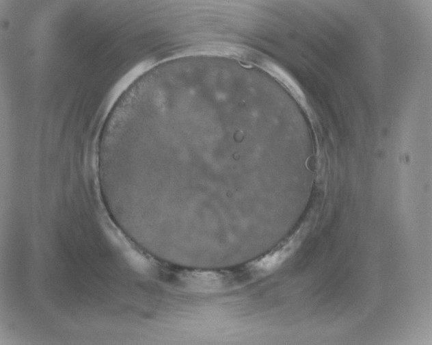 X0000081310907200701251740