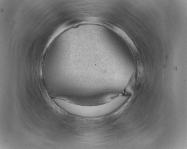 X0000081310908200701251740