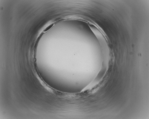 X0000081310909200701251740