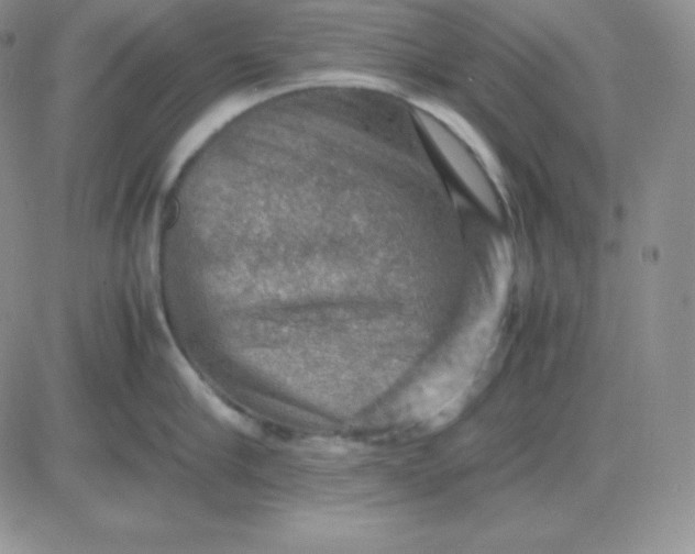 X0000081310910200701251740