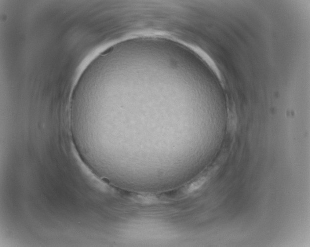 X0000081310911200701251740