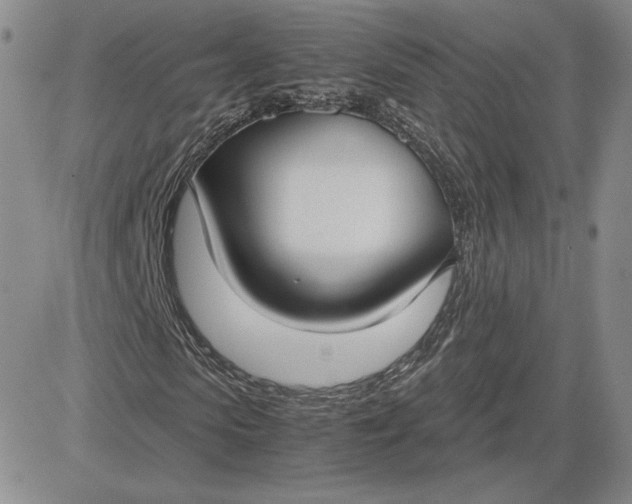 X0000081310913200701251739