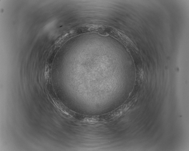 X0000081310914200701251739