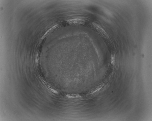 X0000081310915200701251739