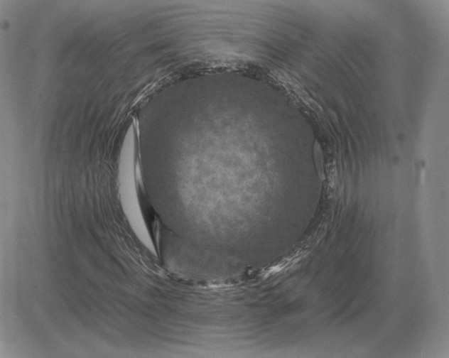 X0000081310916200701251739