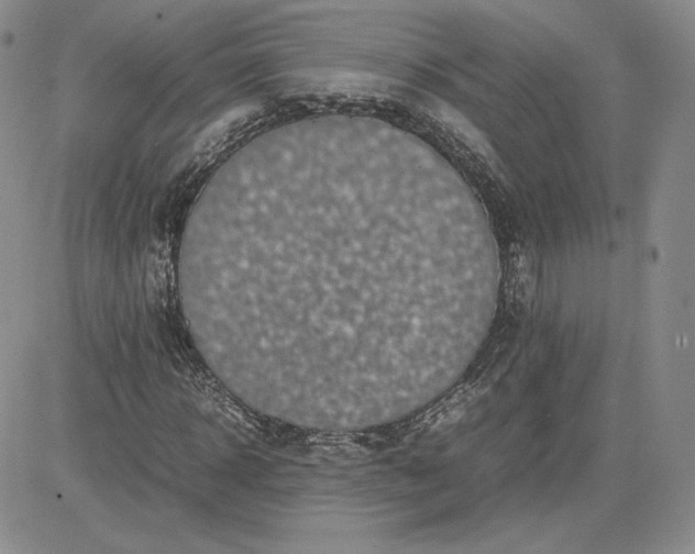 X0000081310918200701251739