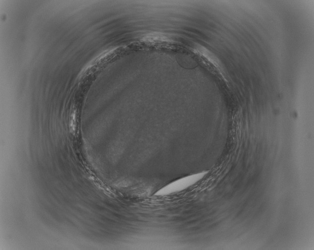 X0000081310919200701251739