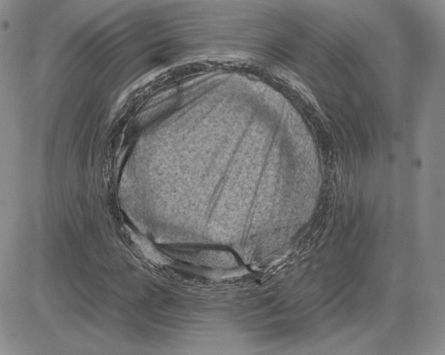 X0000081310920200701251739