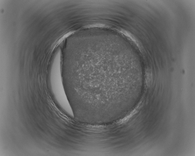 X0000081310921200701251739