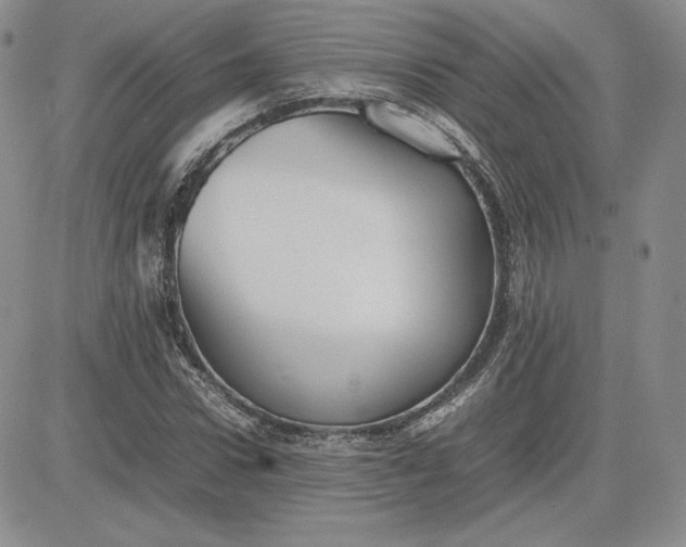 X0000081310922200701251739