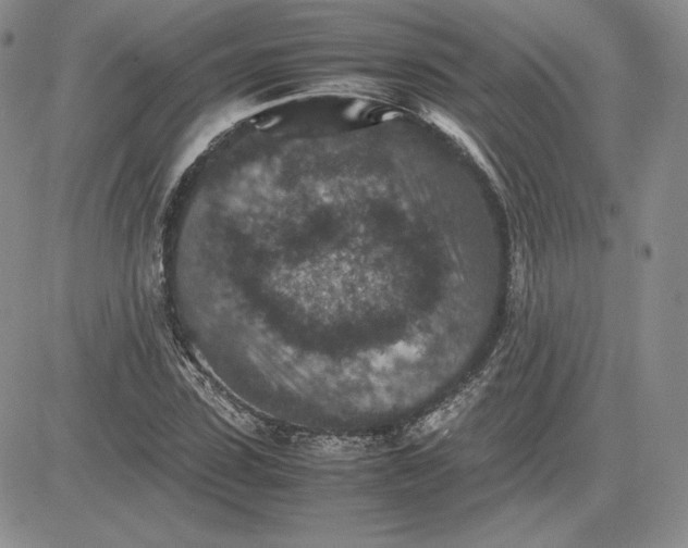 X0000081310923200701251739