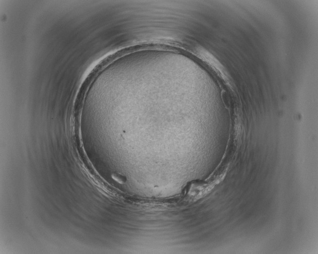 X0000081310924200701251739