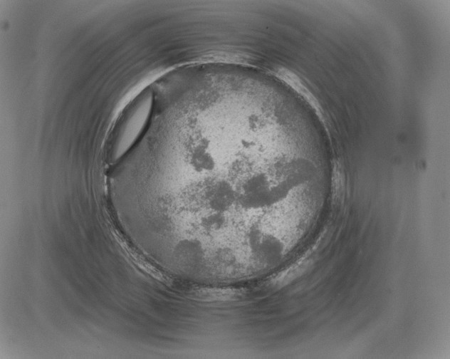 X0000081310925200701251739