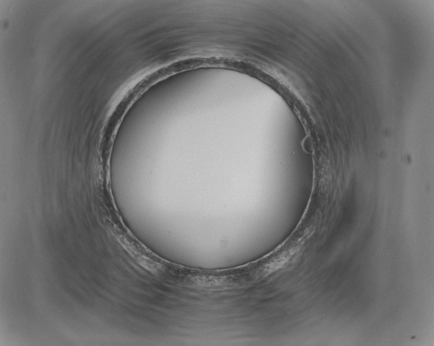 X0000081310927200701251739