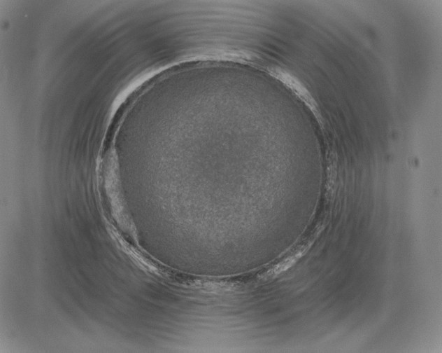 X0000081310928200701251739