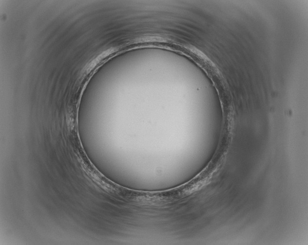 X0000081310929200701251739