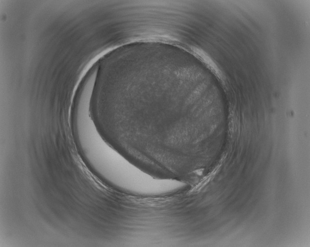 X0000081310932200701251739