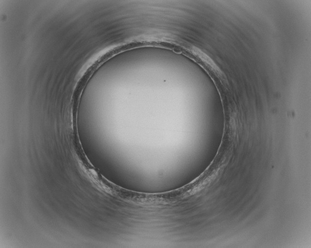 X0000081310934200701251739