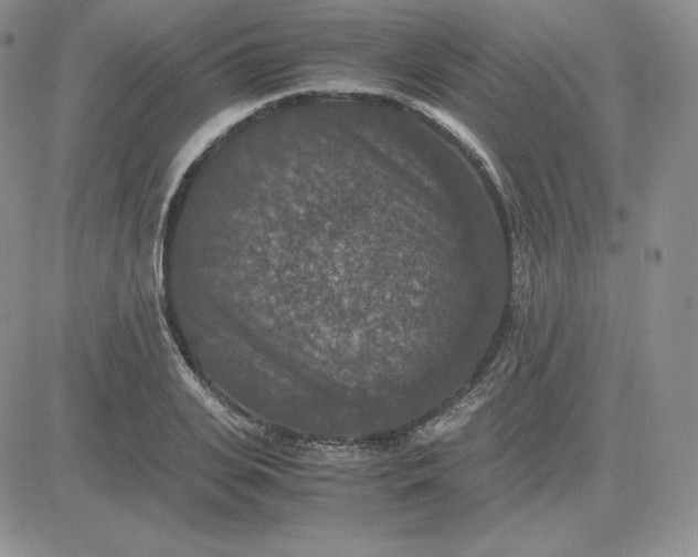 X0000081310935200701251739