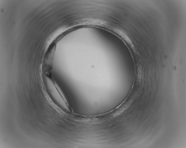 X0000081310936200701251739