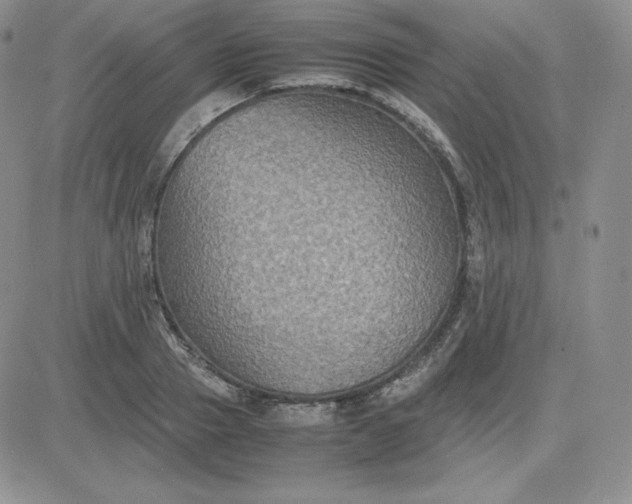 X0000081310937200701251739