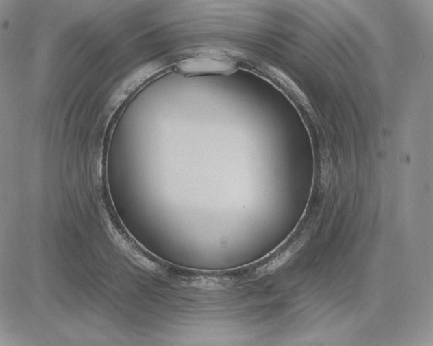 X0000081310938200701251739