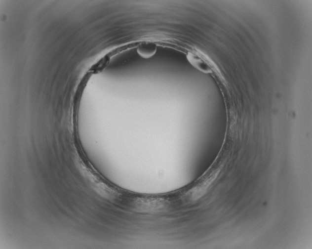 X0000081310939200701251739