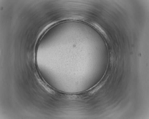 X0000081310940200701251739