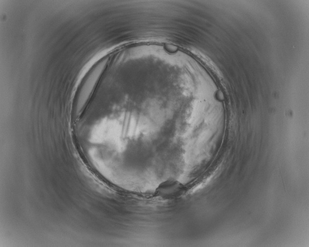 X0000081310941200701251739