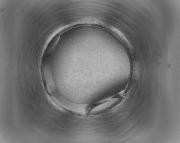 X0000081310942200701251739