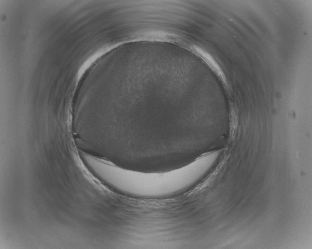 X0000081310944200701251739