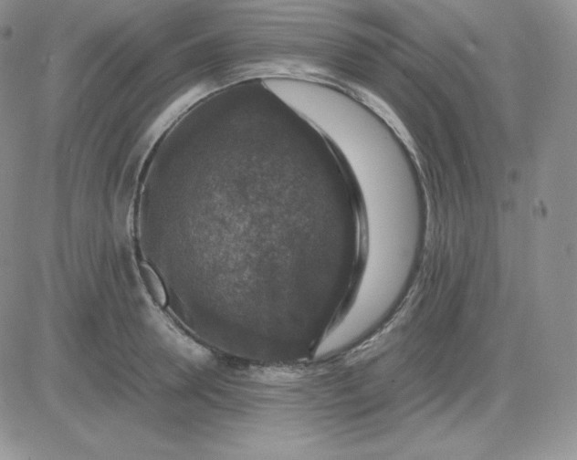 X0000081310946200701251739