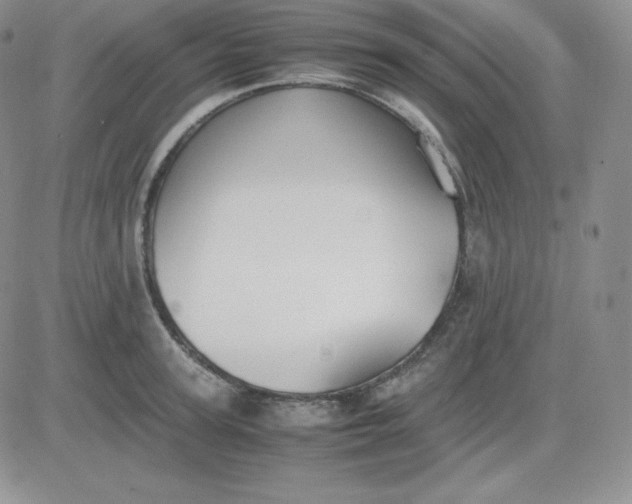 X0000081310947200701251739