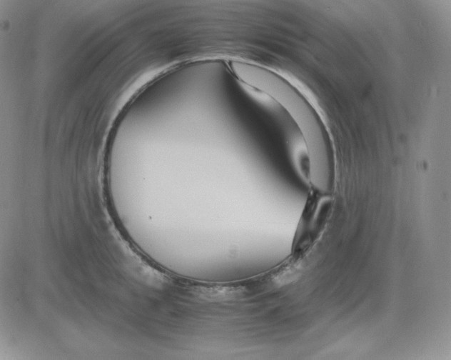 X0000081310949200701251739