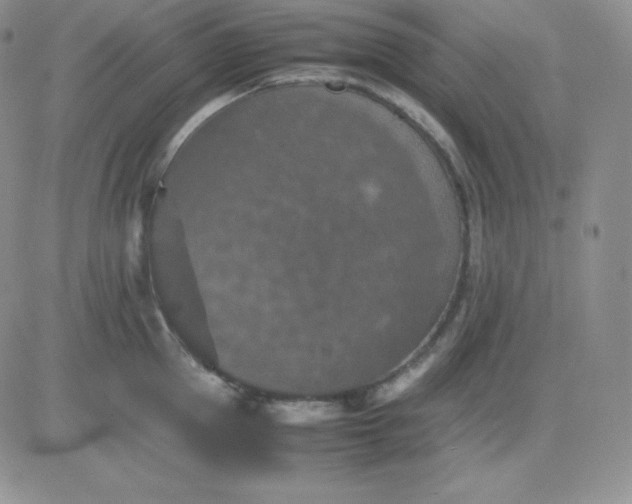 X0000081310953200701251739