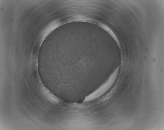 X0000081310954200701251739