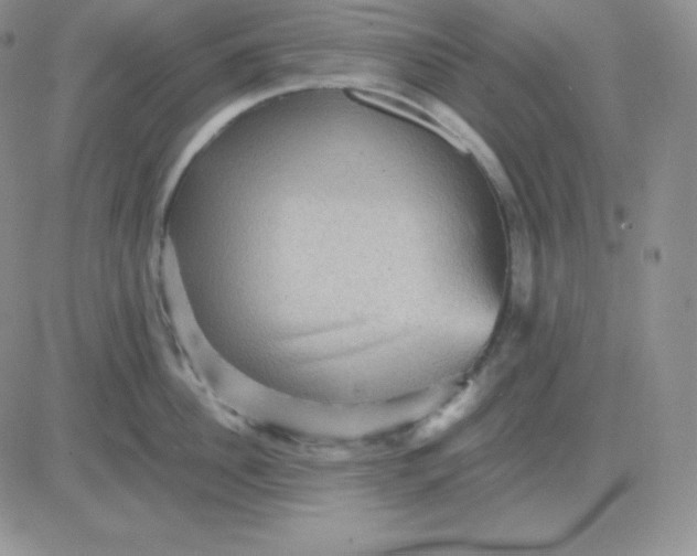 X0000081310956200701251740