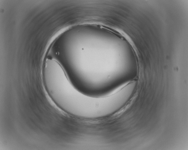 X0000081310957200701251740