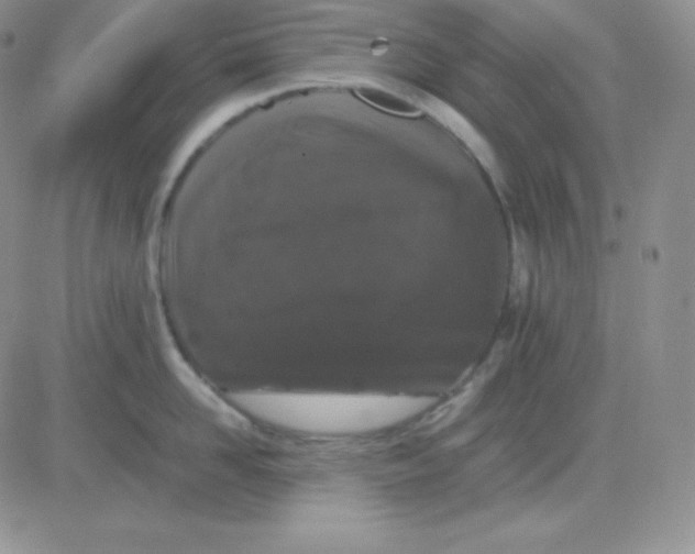 X0000081310958200701251740