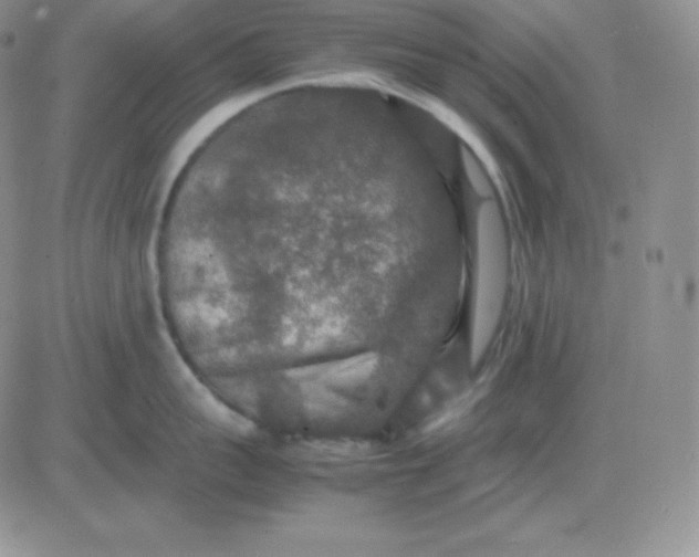 X0000081310959200701251740