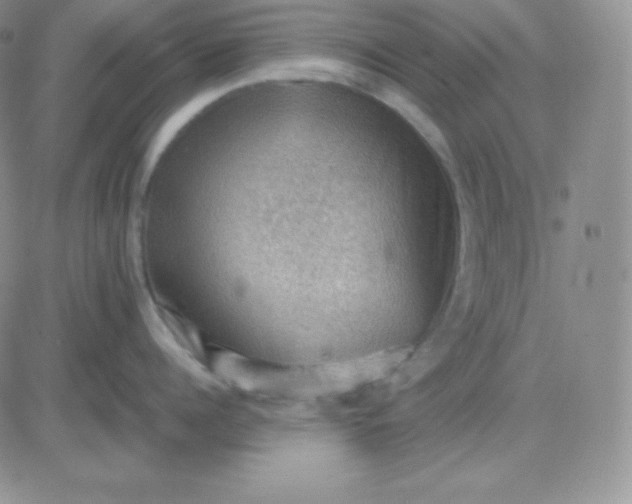 X0000081310960200701251740