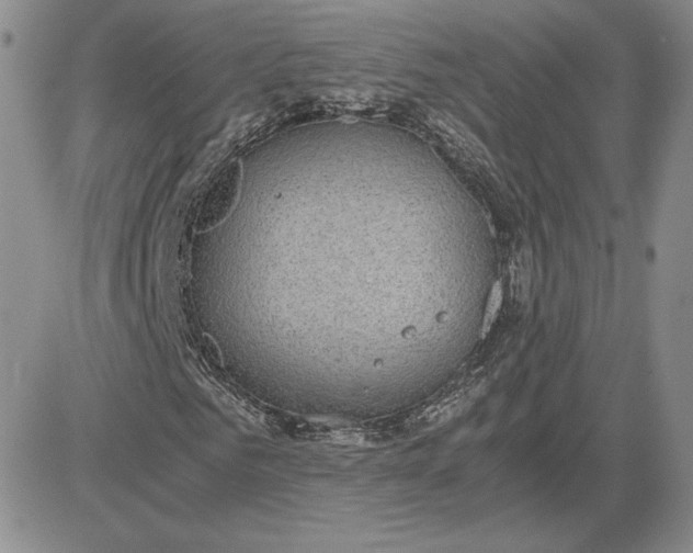 X0000081310961200701251739